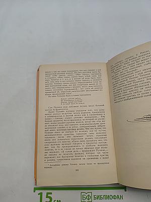 Евгений Онегин