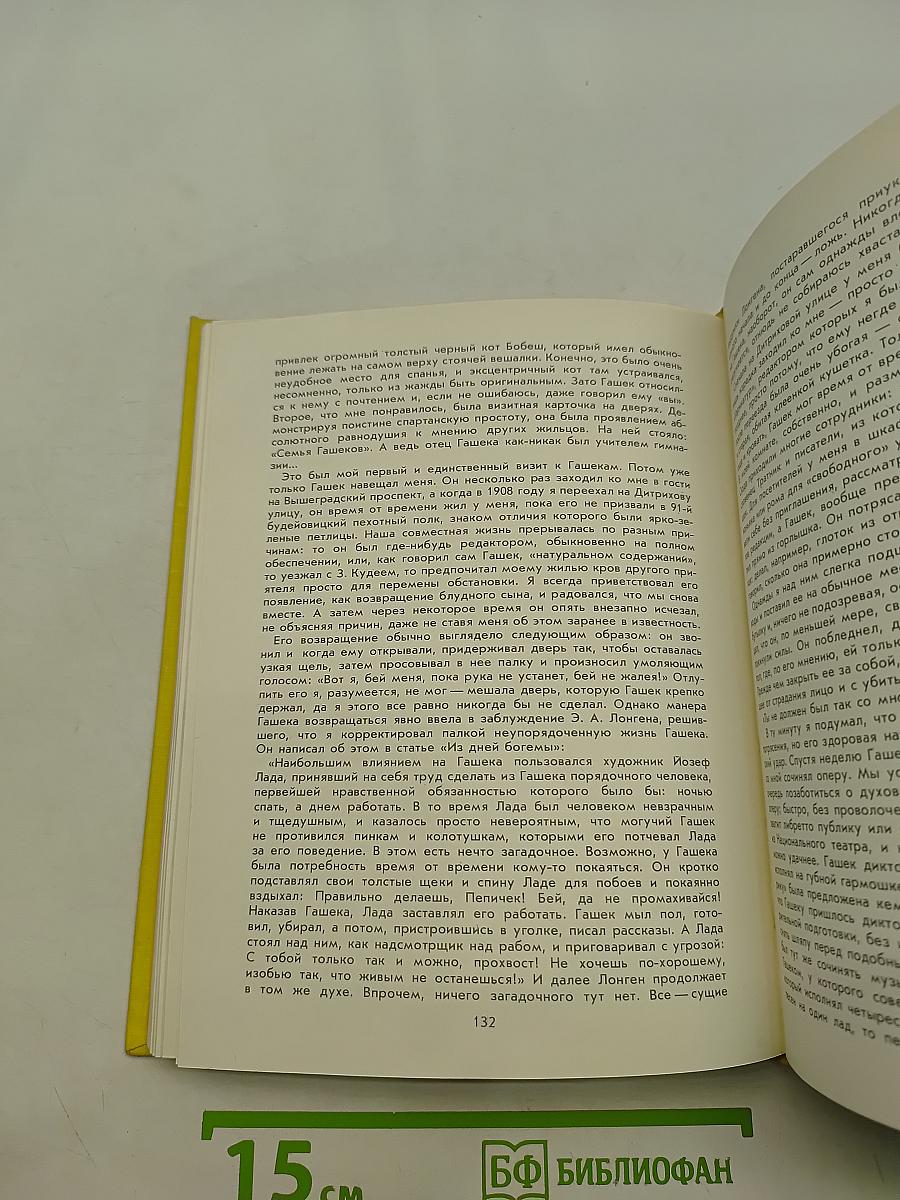 Книга о художнике