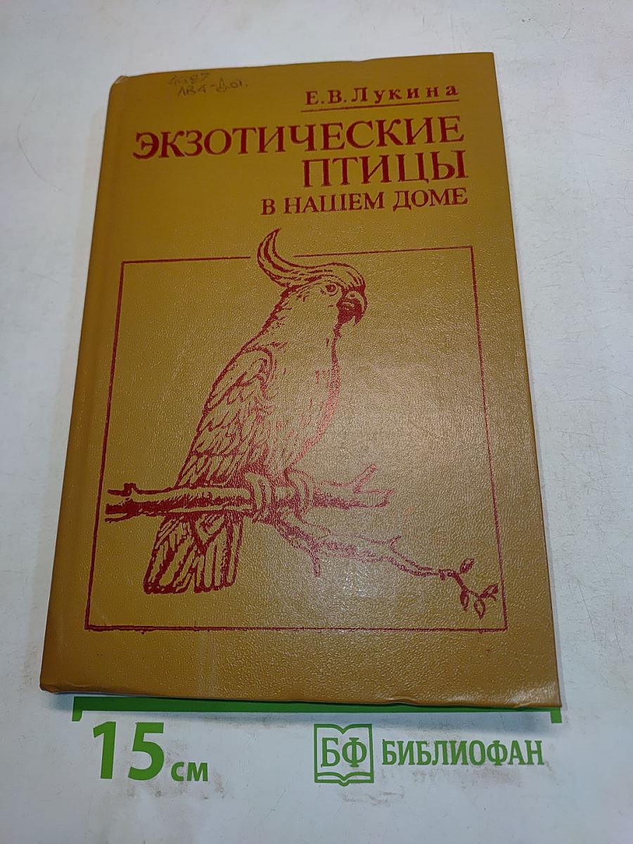 Экзотические птицы в нашем доме