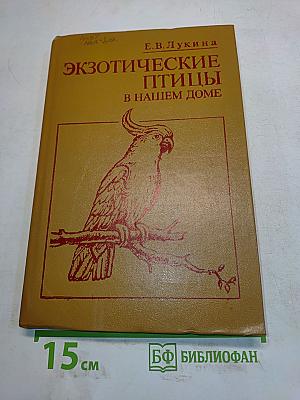 Экзотические птицы в нашем доме