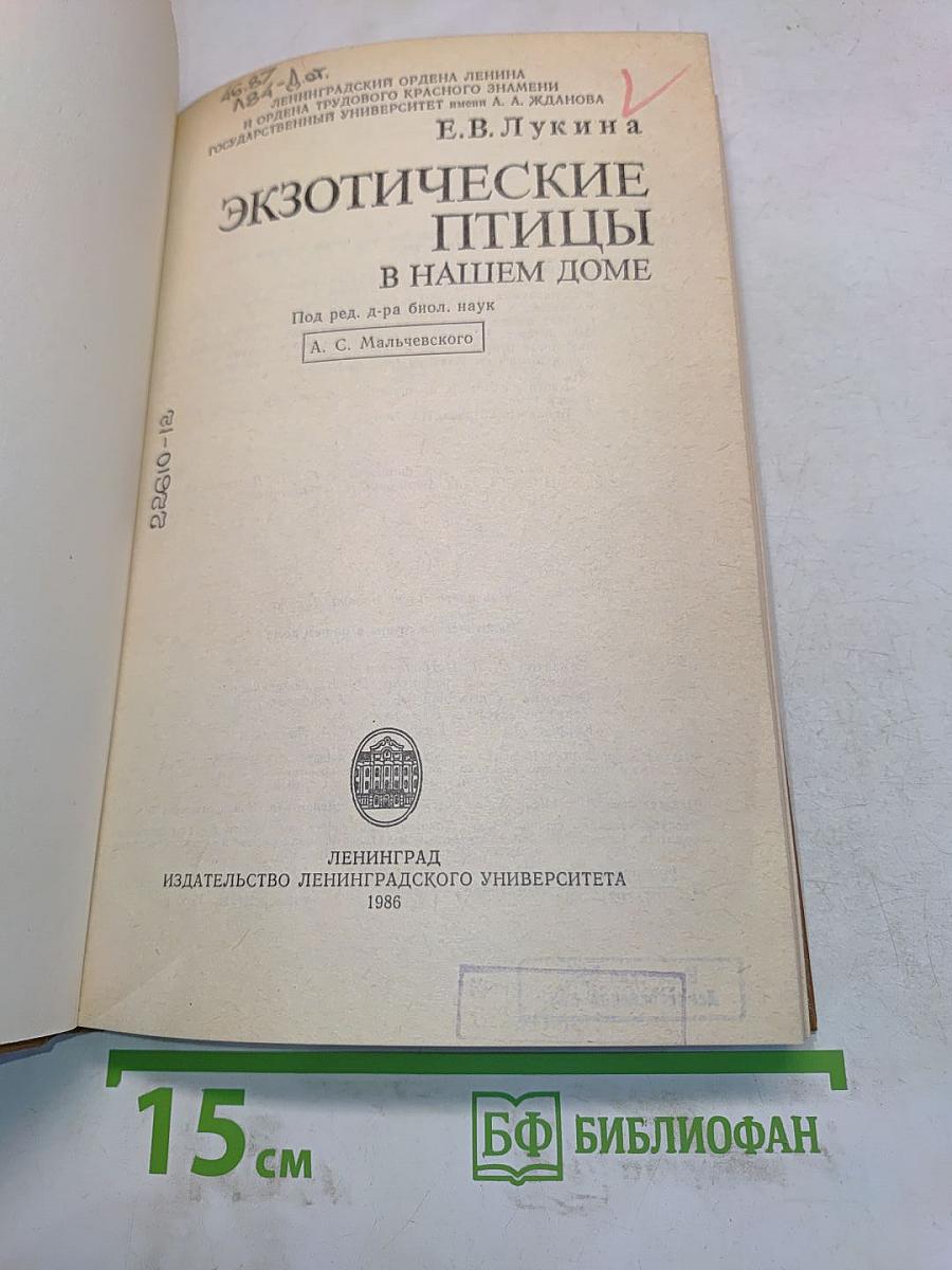 Экзотические птицы в нашем доме