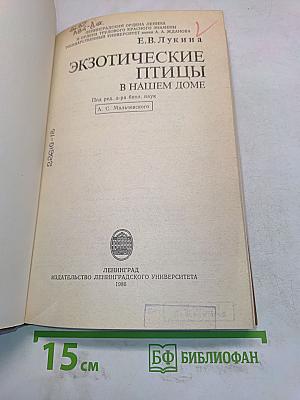 Экзотические птицы в нашем доме