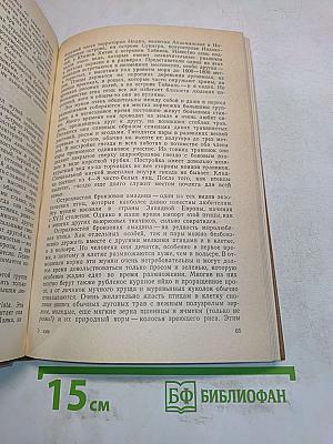 Экзотические птицы в нашем доме