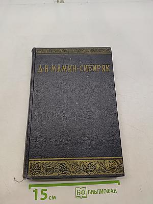 Рассказы, очерки, эскизы восьмидесятых годов. Том десятый
