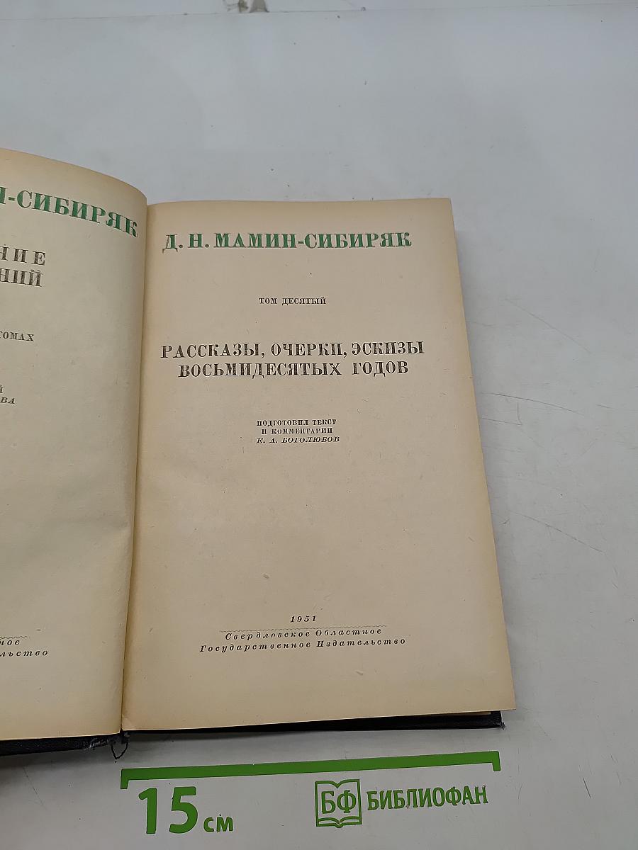 Рассказы, очерки, эскизы восьмидесятых годов. Том десятый