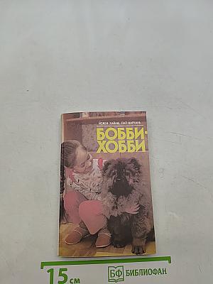 Бобби-хобби