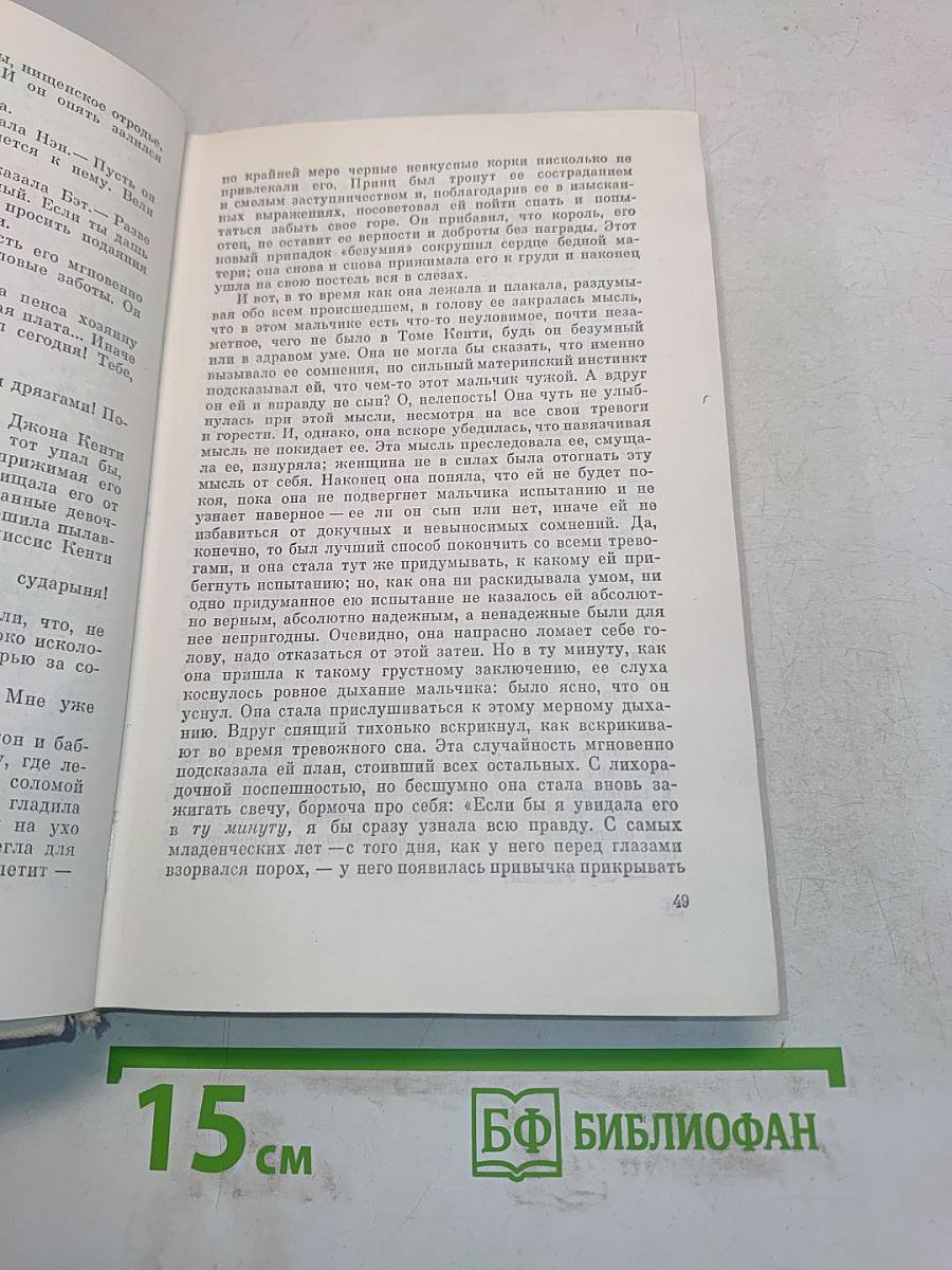 Принц и нищий. Янки из Коннектикута при дворе короля Артура. Том 2