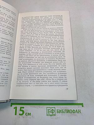 Принц и нищий. Янки из Коннектикута при дворе короля Артура. Том 2