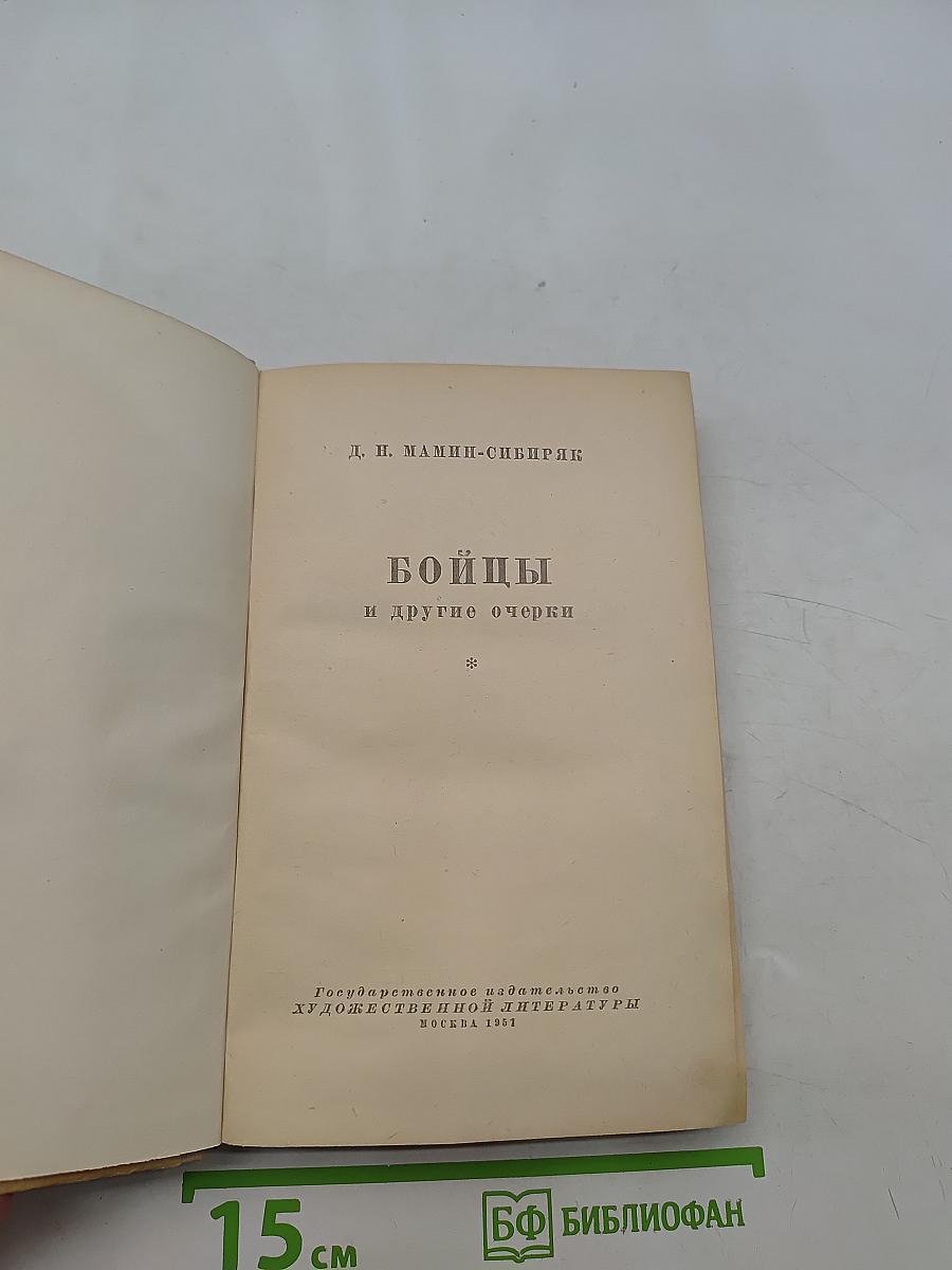 Бойцы и другие очерки
