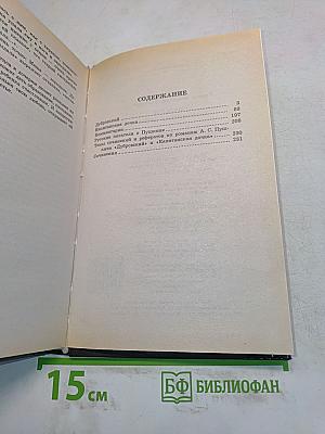 Дубровский. Капитанская дочка
