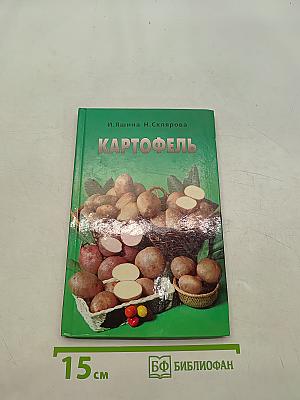 Картофель