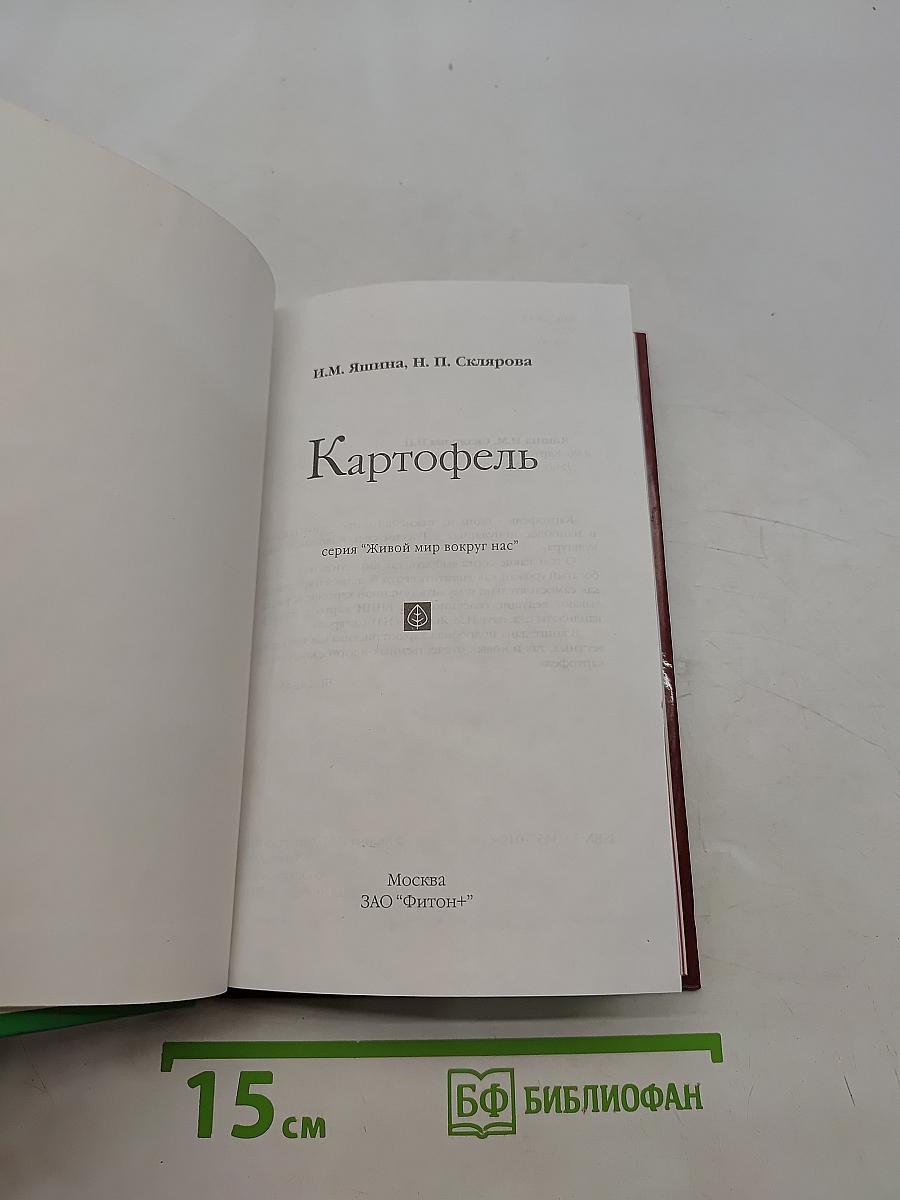 Картофель
