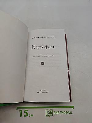 Картофель