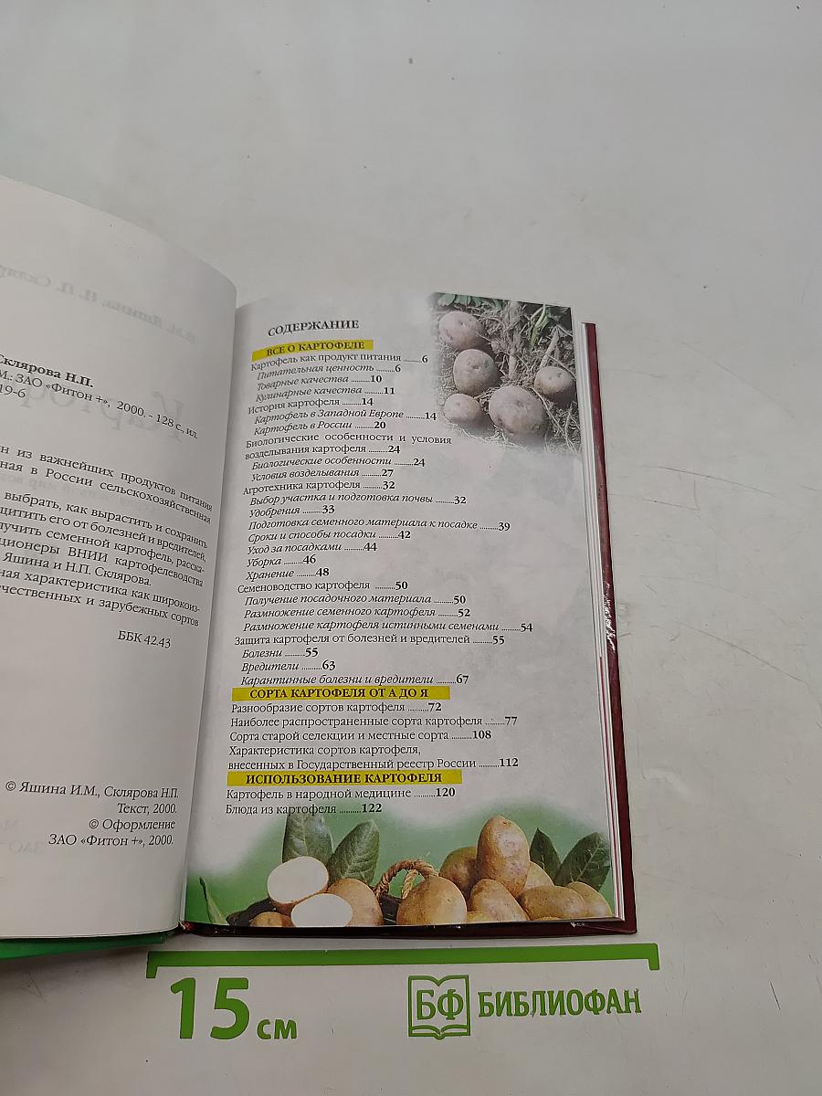 Картофель