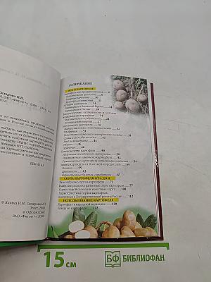 Картофель