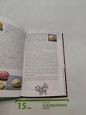 Картофель
