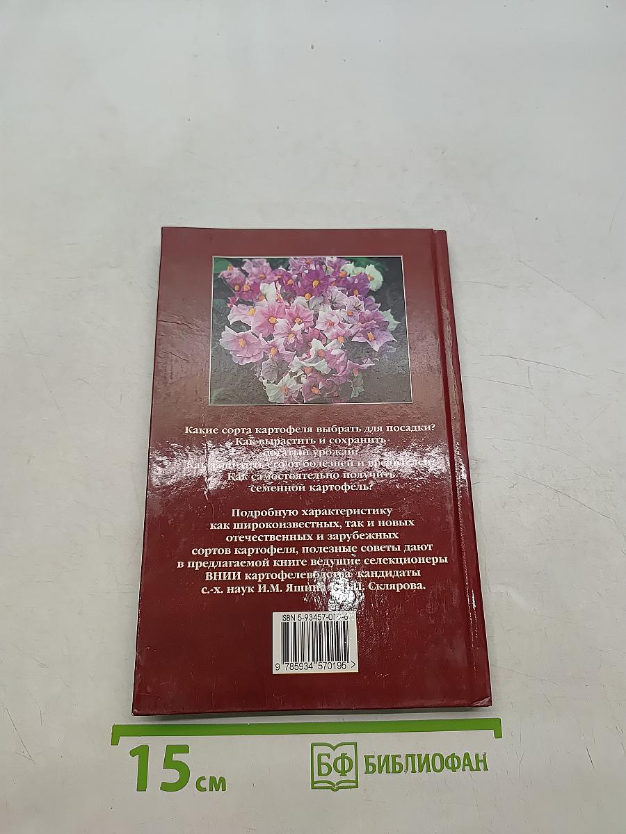 Картофель