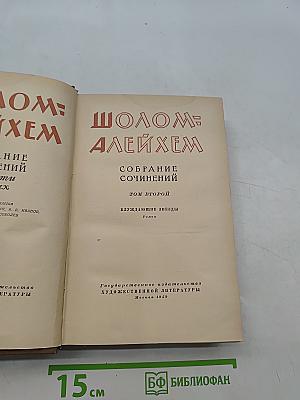 Собрание сочинений. Том второй. Блуждающие звезды. Гамлет