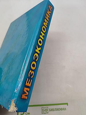 Мезоэкономика