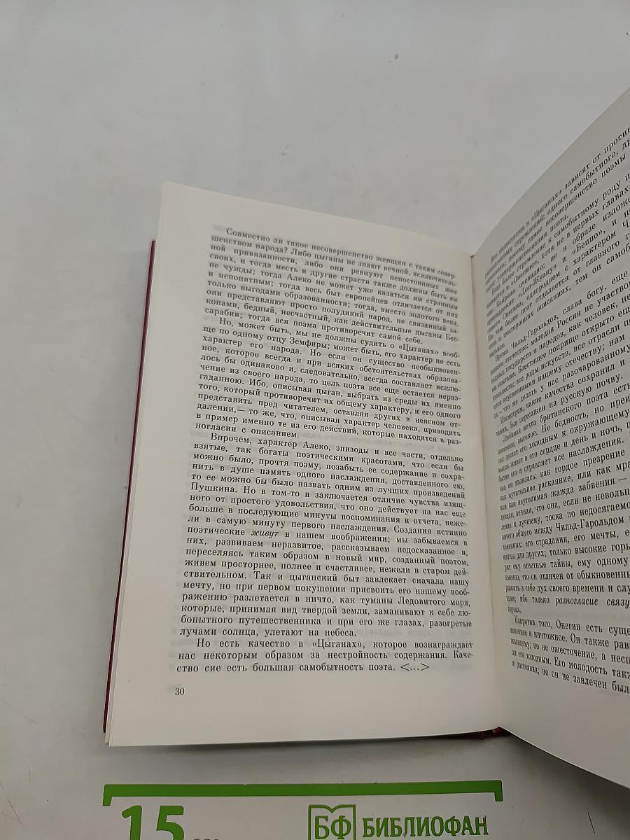 Русская литература XIX века в зеркале критики. Хрестоматия литературно-критических материалов