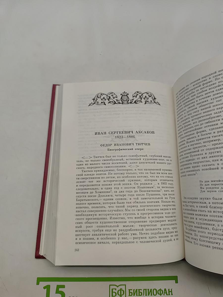 Русская литература XIX века в зеркале критики. Хрестоматия литературно-критических материалов