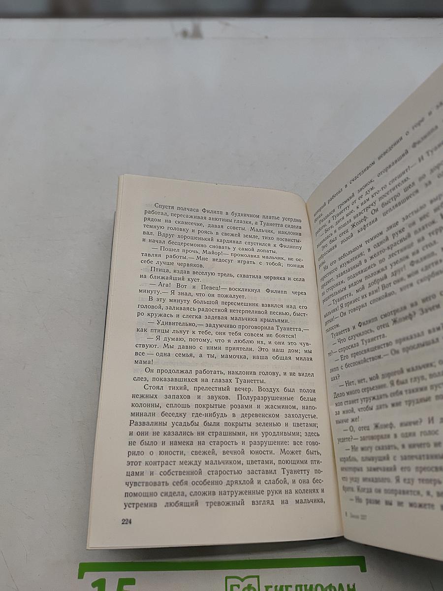 Леди Джен, или Голубая цапля