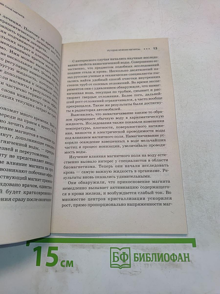 Лечебная сила магнита. Секреты индийских мудрецов