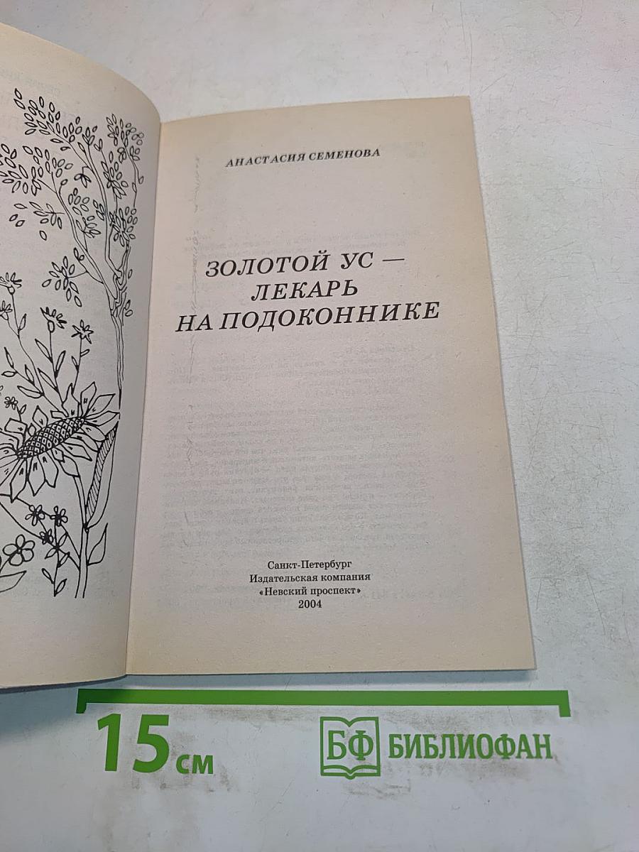 Золотой ус — лекарь на подоконнике