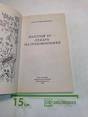Золотой ус — лекарь на подоконнике