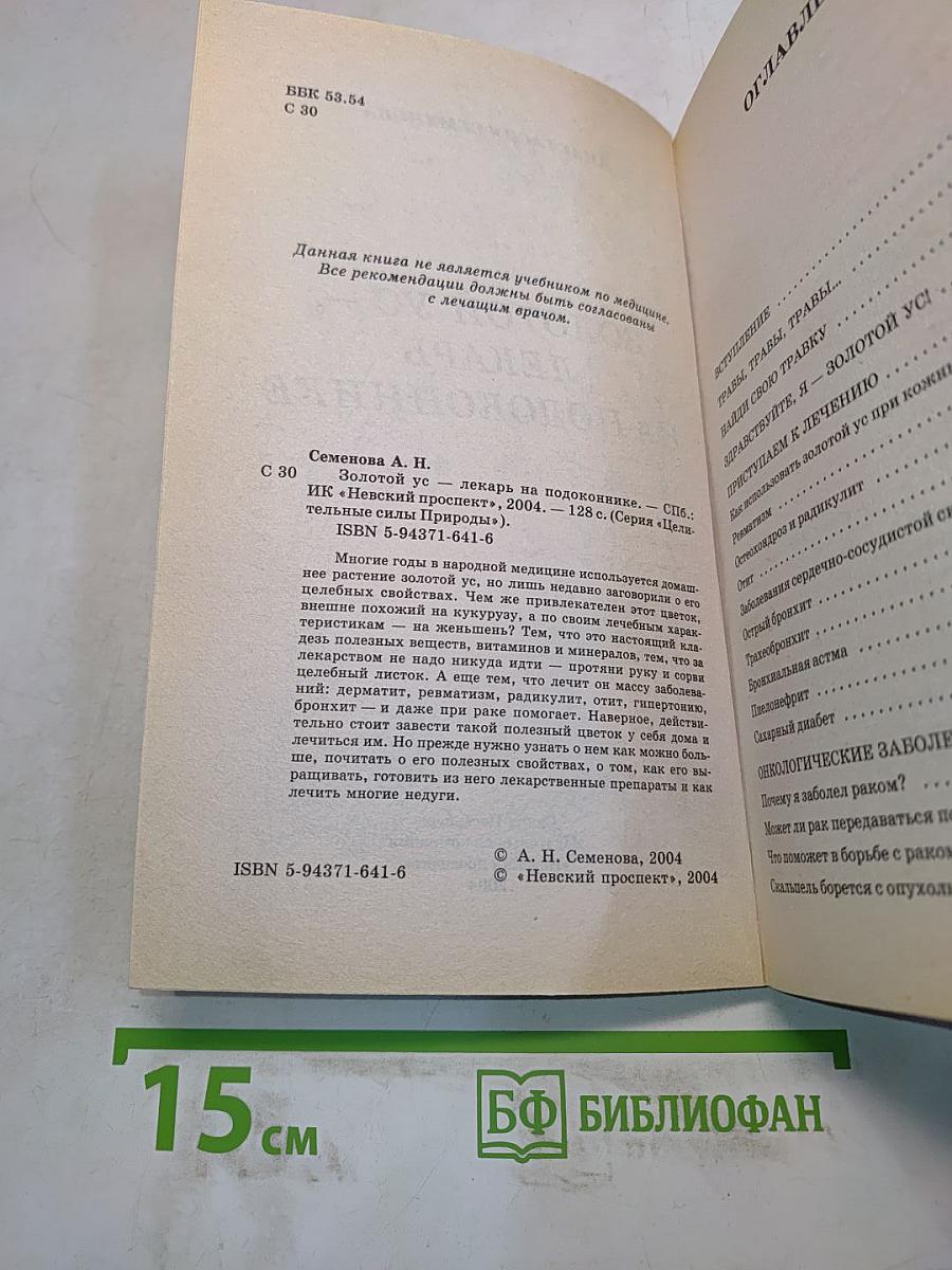 Золотой ус — лекарь на подоконнике