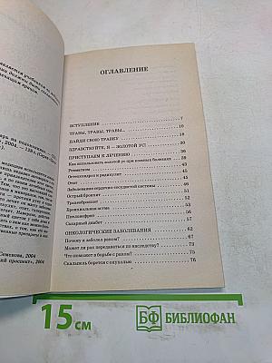 Золотой ус — лекарь на подоконнике