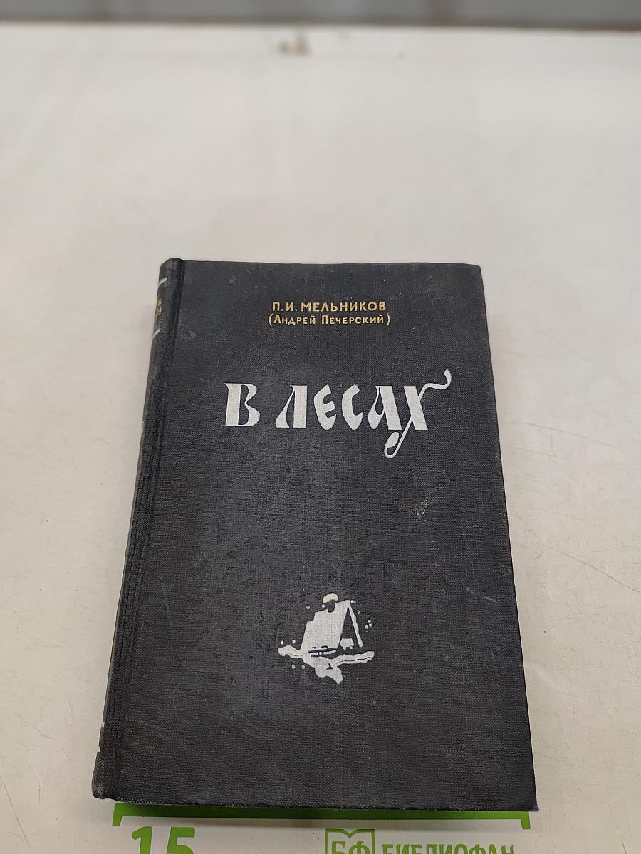 В лесах. Книга вторая