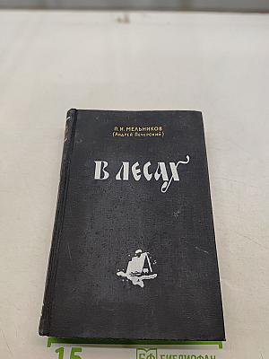 В лесах. Книга вторая