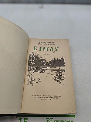 В лесах. Книга вторая