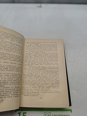 В лесах. Книга вторая