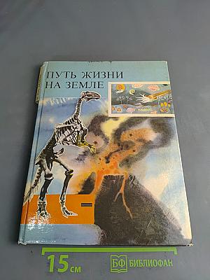 Путь жизни на Земле