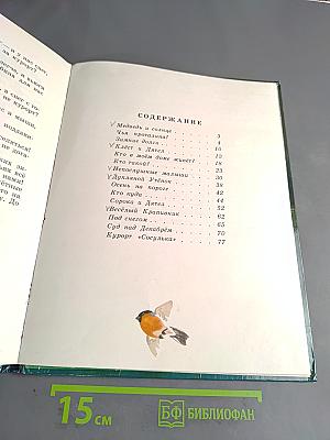Лесные сказки