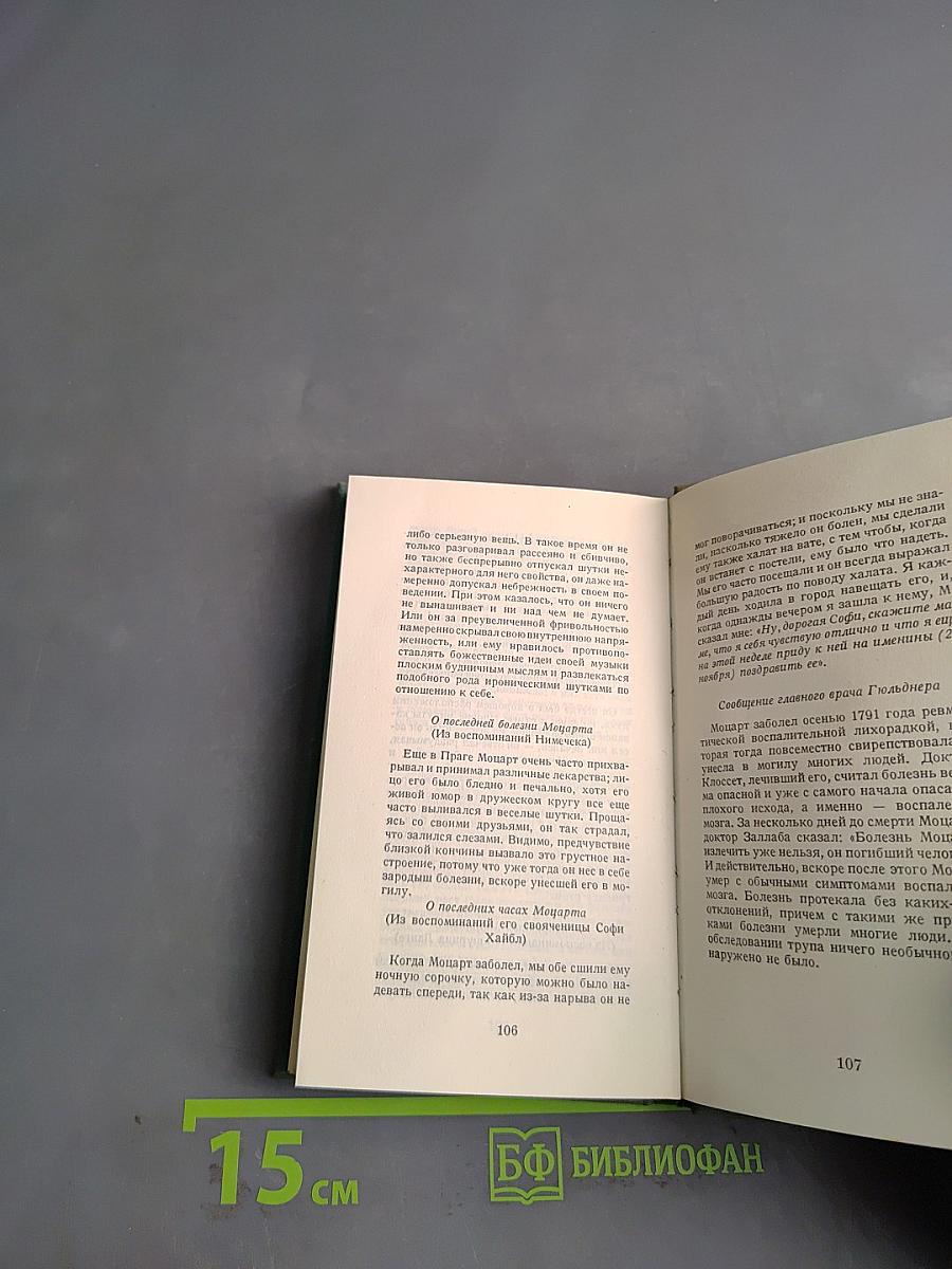 Если бы Моцарт вел дневник...