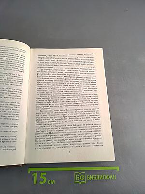 Боксер Билли. Закоренелый преступник