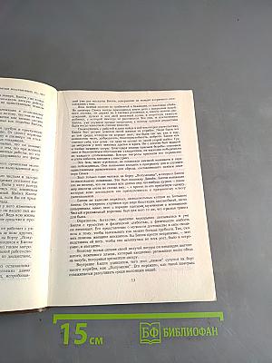 Боксер Билли. Закоренелый преступник