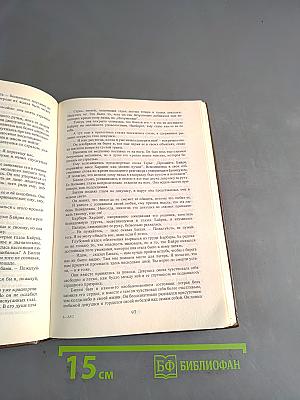 Боксер Билли. Закоренелый преступник