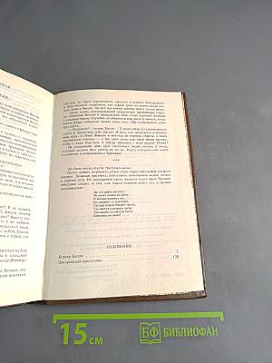 Боксер Билли. Закоренелый преступник