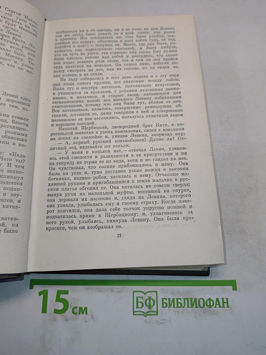 Анна Каренина. Роман в восьми частях. Том восьмой