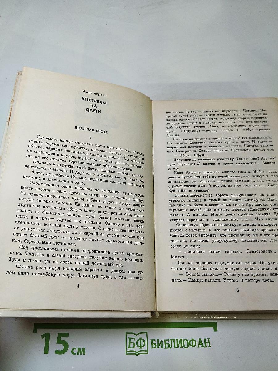 Егоркины рапорты