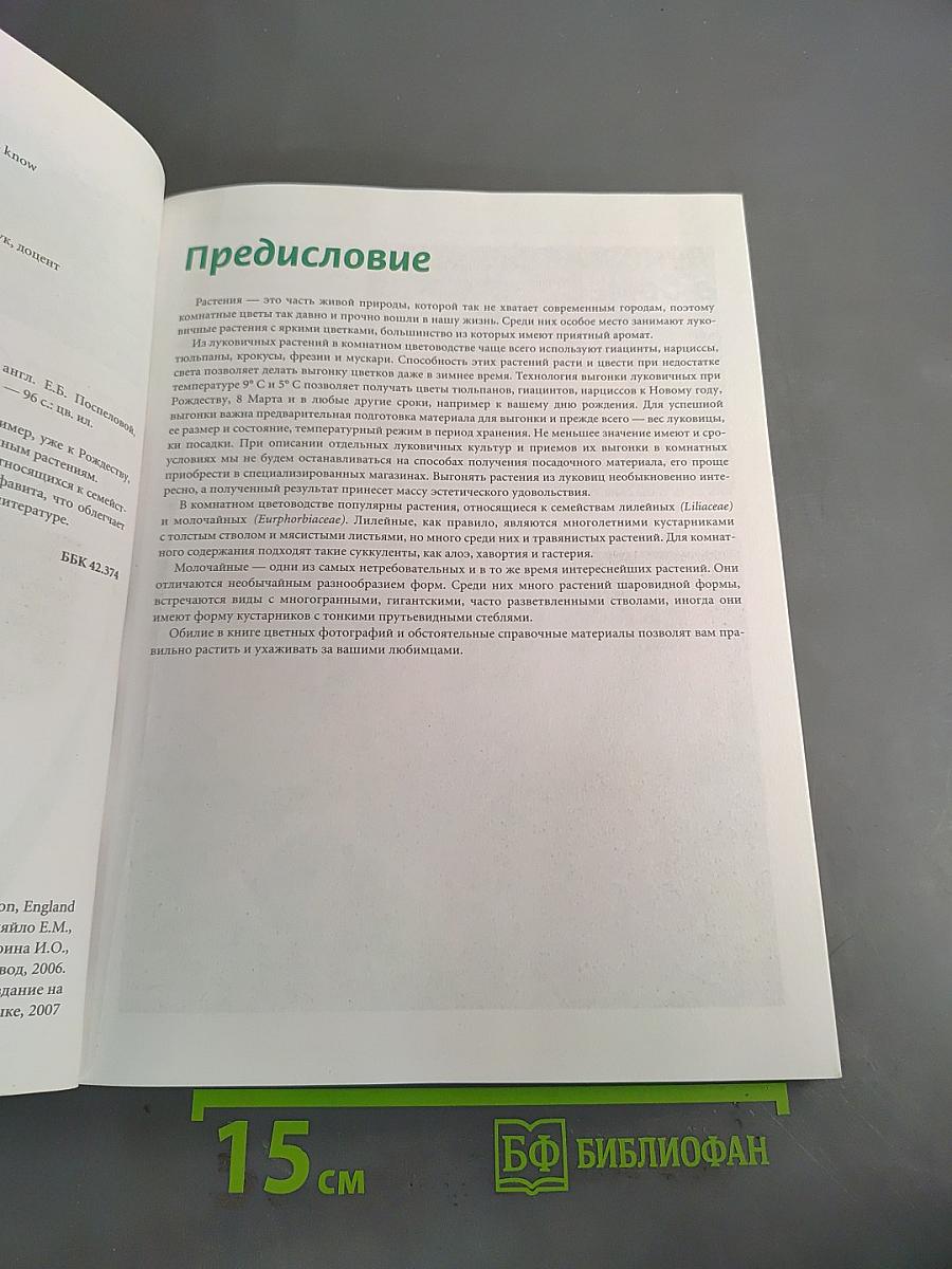 Луковичные растения