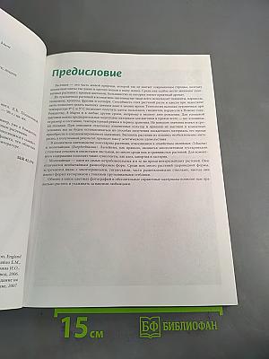 Луковичные растения