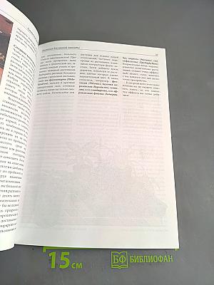 Луковичные растения