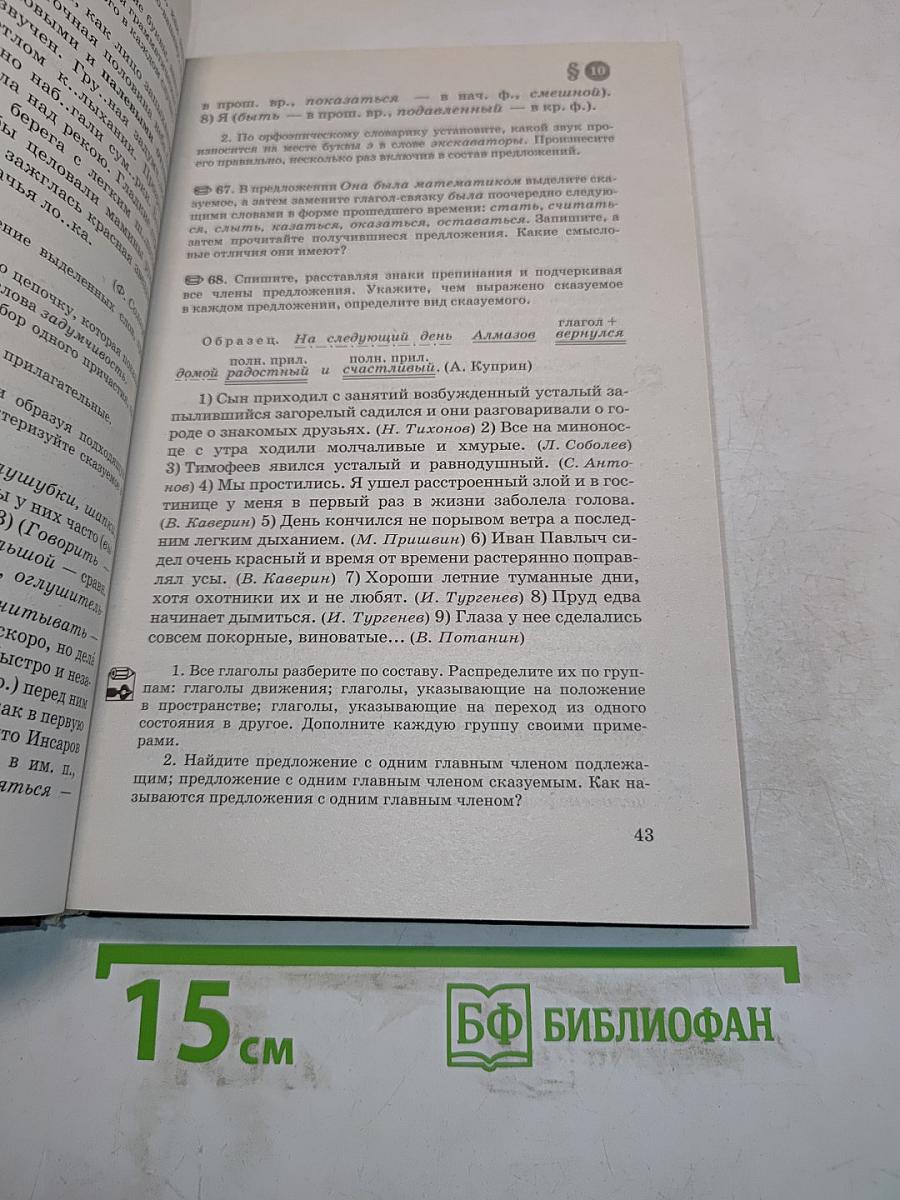 Русский язык. 8 класс