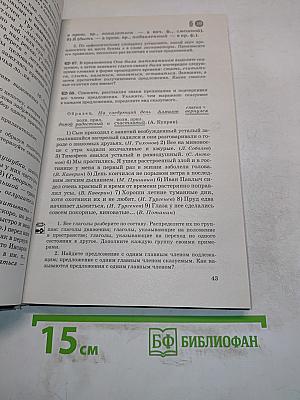 Русский язык. 8 класс