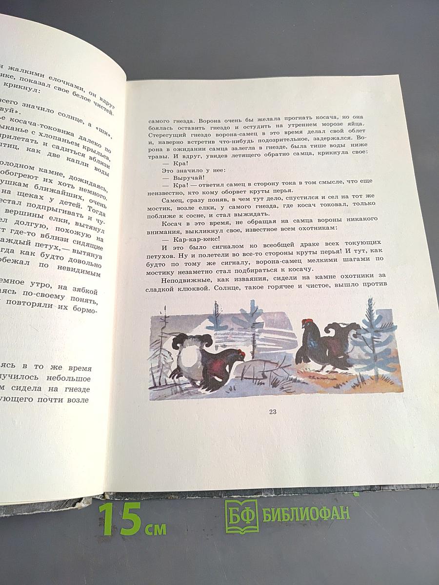 Кладовая солнца